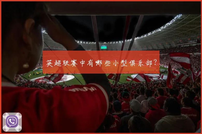 英超联赛中有哪些小型俱乐部?